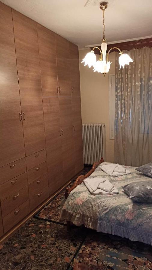 شقة Panourgia'S House Tríkala المظهر الخارجي الصورة