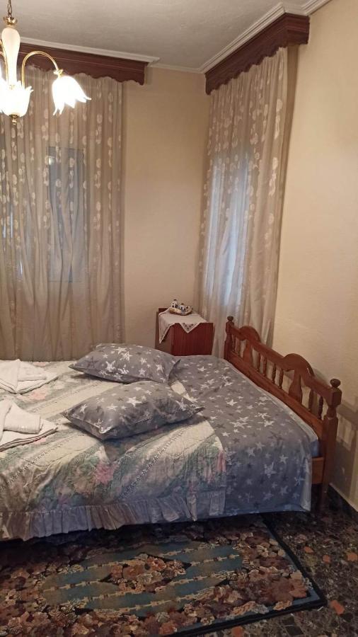 شقة Panourgia'S House Tríkala المظهر الخارجي الصورة